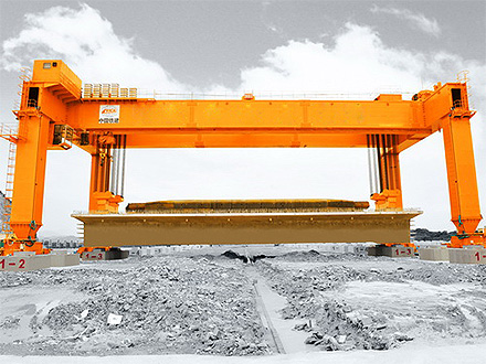 物流仓储中心自动化起重系统项目